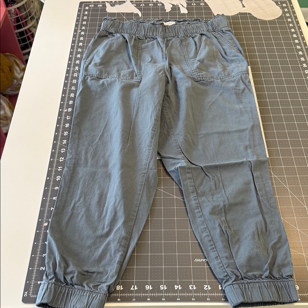 LOFT Women's Blue Jogger Pants
